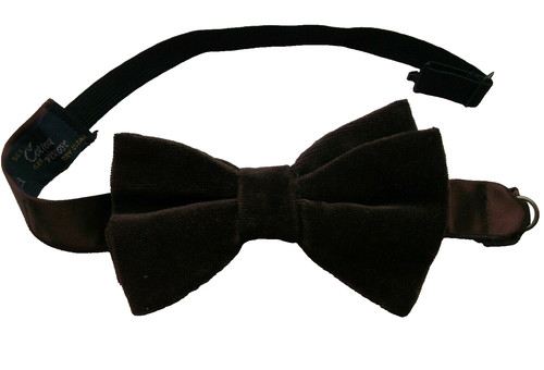 Bow tie mens dickie - tie, bowtie