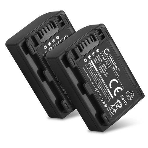 Battery for sony - 2x, dcr-sx50