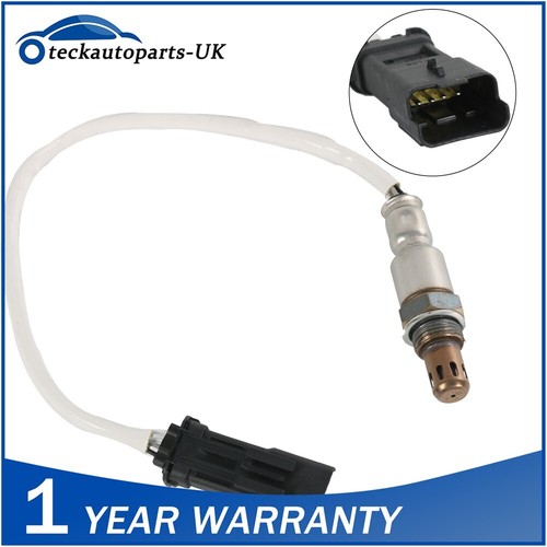Sensor oxygen lambda - o2, for