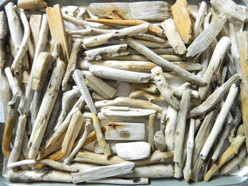 100 driftwood pieces - pieces, arts