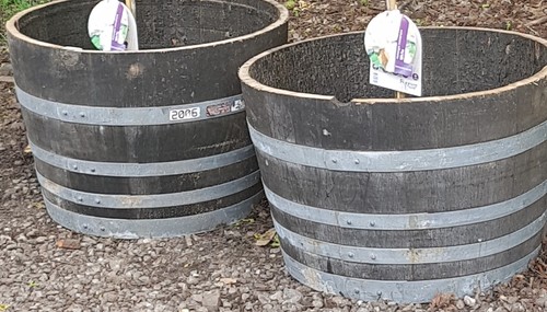 Oak whisky barrel - 4, planters