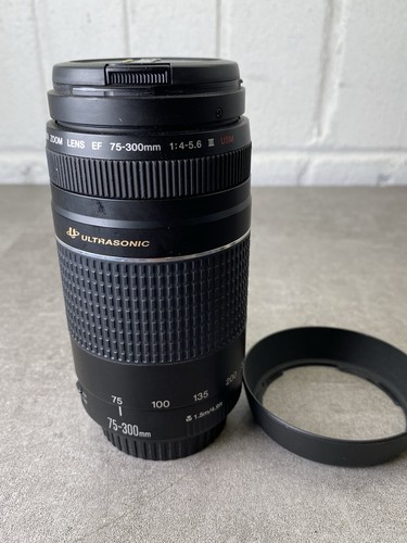Canon 300mm 5 - canon, ef
