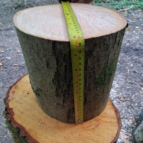 Ash wood round - ,,