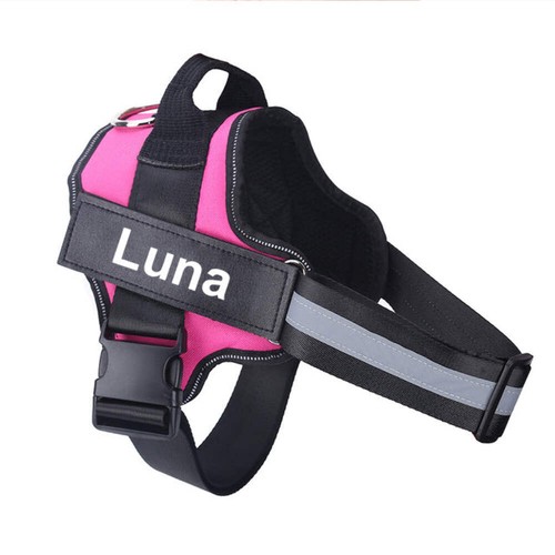 Personalised pull dog - no-pull,