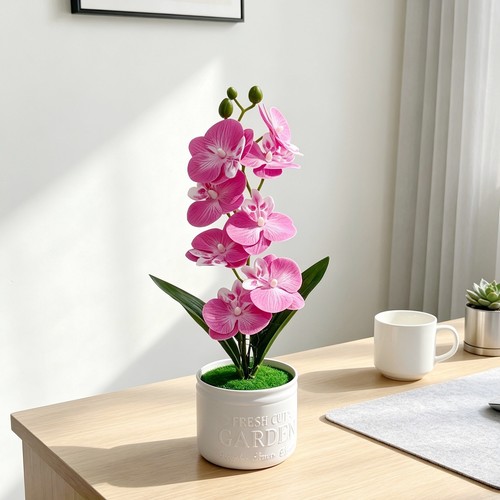 Phalaenopsis orchid replica - orchid,