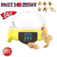 Egg incubator hatching machine - egg,