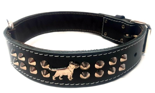 Inch wide studded - 1.5, leather