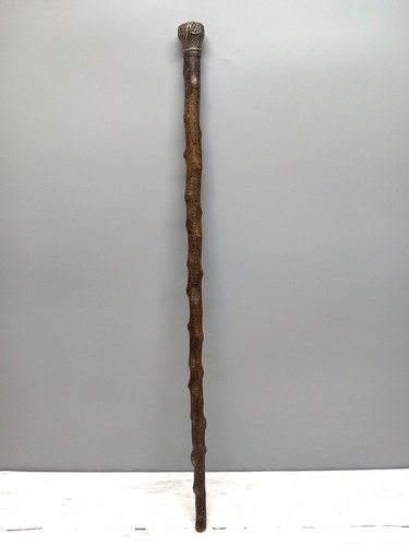 Walking stick with sterling - with,