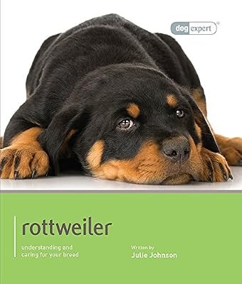 Rottweiler julie - rottweiler,