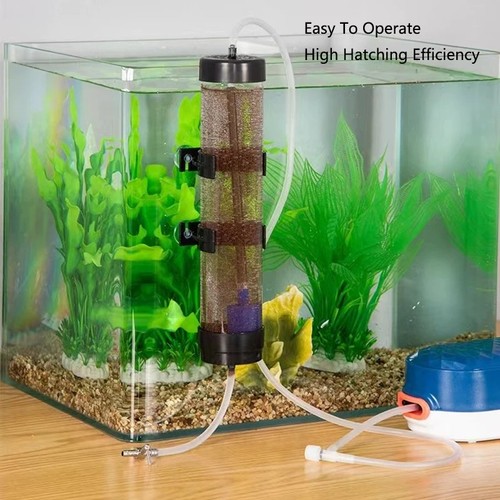 Brine shrimp hatcher aquarium - brine,