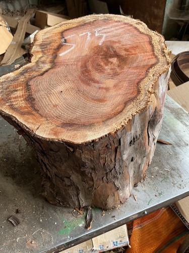 Yew block huge - block,huge,