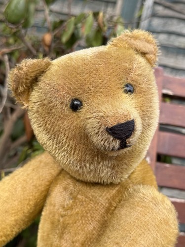 Rare early teddy bear mr - teddy,