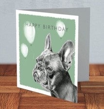 French bulldog frenchie dog - frenchie,
