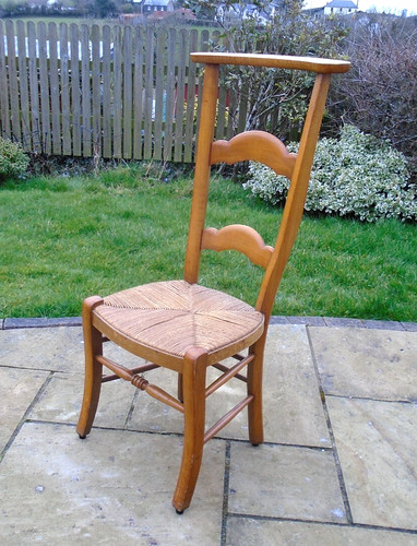 Unusual vintage beech - vintage, high