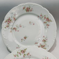 Theodore Haviland Limoges