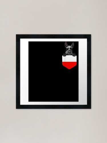 Poland flag giant schnauzer - flag,