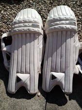 Salix cricket batting - salix, pads