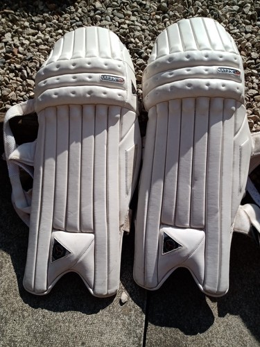 Salix cricket batting pads - salix,