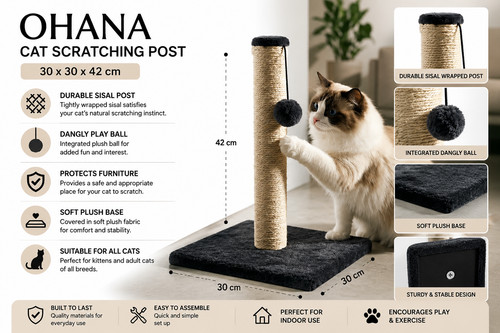 Tall cat scratch post - cat,