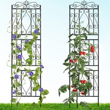 Garden Trellis For Climbing