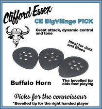 BIG VILLAGE. BLUES AND JAZZ