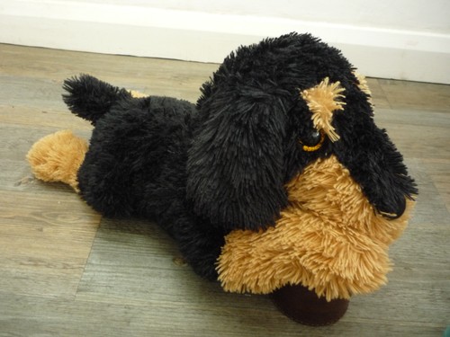Adorable black tan brown - black, &