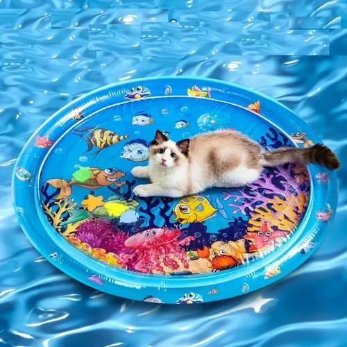 Dog play box water - water,
