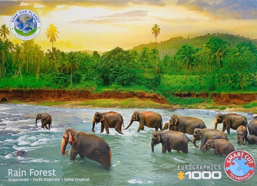 Eurographics rain forest 1000 - rain,