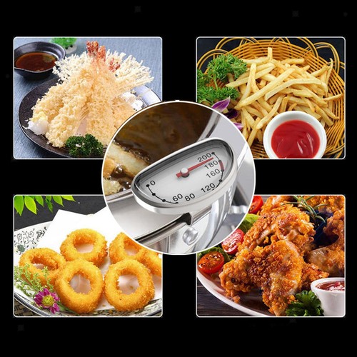 Food thermograph dial - food,