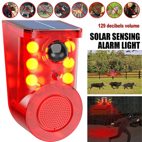 129db solar motion sensor - 129db,