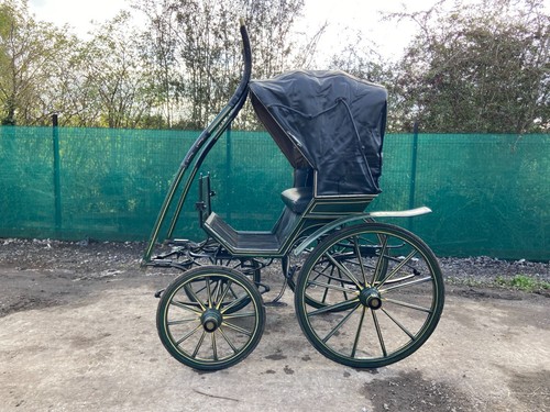 Doctors phaeton vintage horse - vintage,