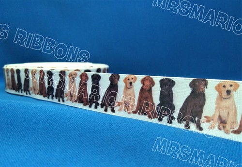 Labrador dogs canine design