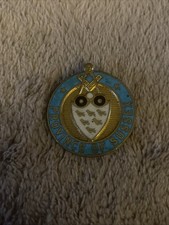 PROVINCE OF SUSSEX BADGE COAT OF ARMS VINTAGE ENAMEL BADGE