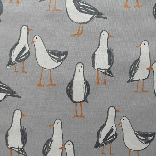 Clarke and laridae - laridae, grey
