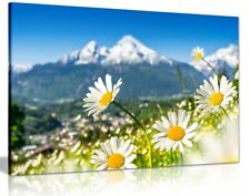 Mountain Landscape With Daisies Canvas Wall Art Picture Print
