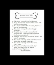 Australian Terrier "Rules" -
