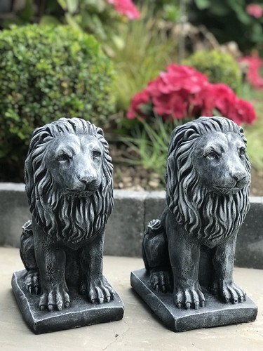 Pair sitting lions - pair, of