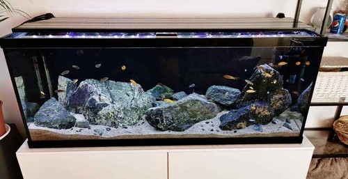 Aquarium rock natural fish - aquarium,