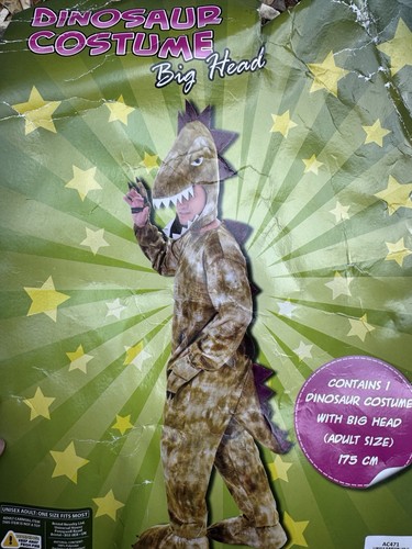 Dinosaur fancy dress - dinosaur,