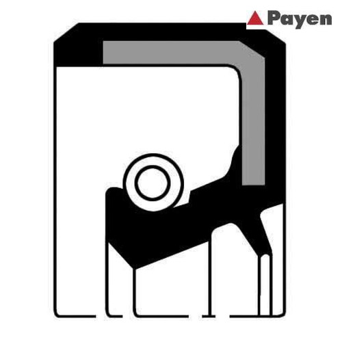 Shaft seal crankshaft payen - seal,,