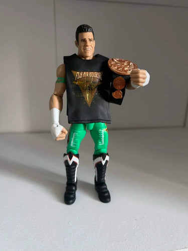 Wwe elite series evan - 15,