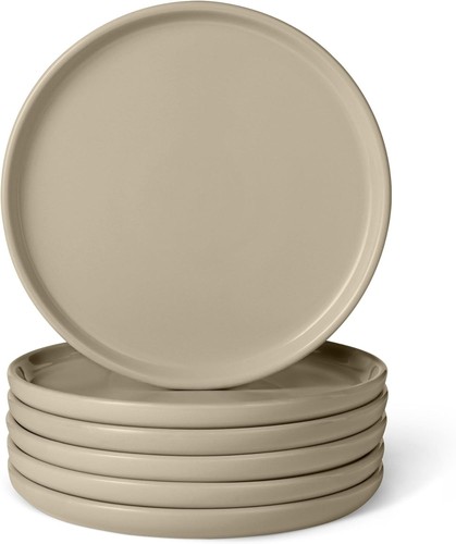 6pc stoneware dinner plates - stoneware,