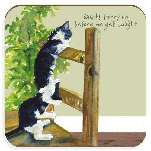 Little dog laughed - -, kittens