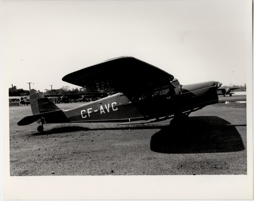Last puss moth havilland - puss,
