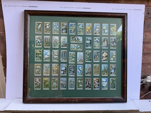 Framed vintage wills - vintage, wild
