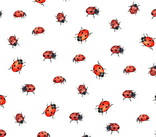 Ladybirds antique white - antique,