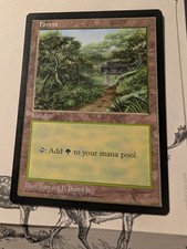 Magic The Gathering ASIA PACIFIC LAND PROGRAM APAC FOREST KOREA clear pack MTG
