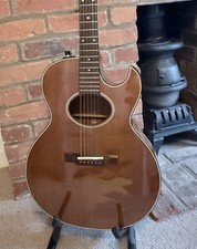 Vintage Washburn Woodstock
