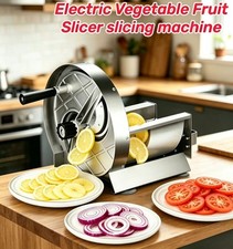 Electric Fruit Vegetable