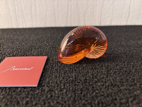 Nautilus shell amber crystal - nautilus,